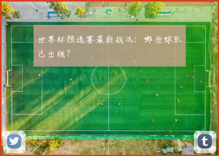 世界杯预选赛最新战况:哪些球队已出线?