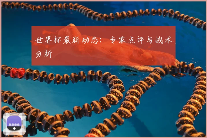 世界杯最新动态：专家点评与战术分析