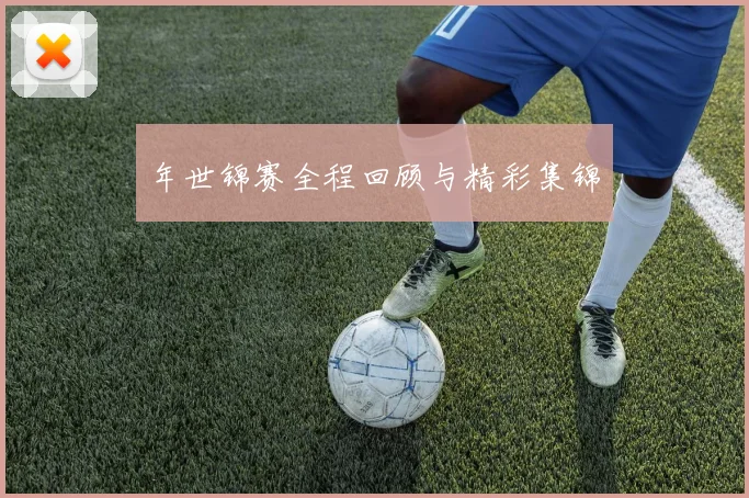 年世锦赛全程回顾与精彩集锦