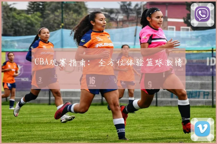 CBA观赛指南:全方位体验篮球激情
