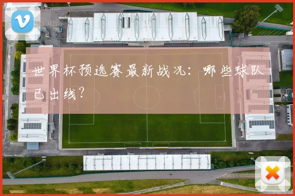 世界杯预选赛最新战况：哪些球队已出线？